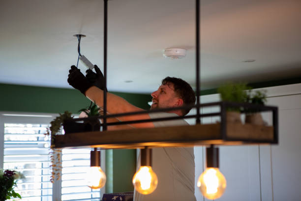Best Electric Panel Repair  in Timberline Fernwood, AZ